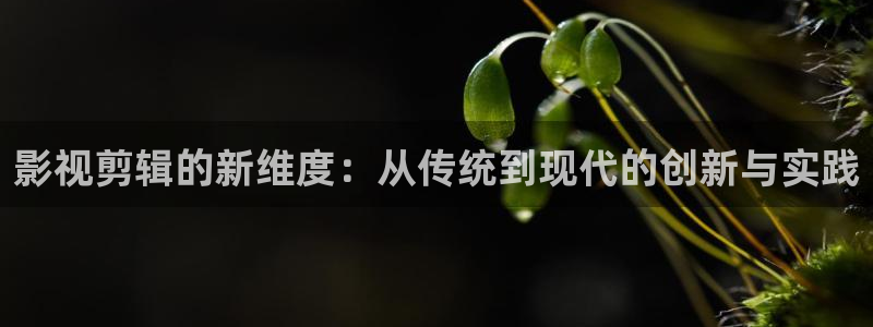 黑桃花成人精品影院