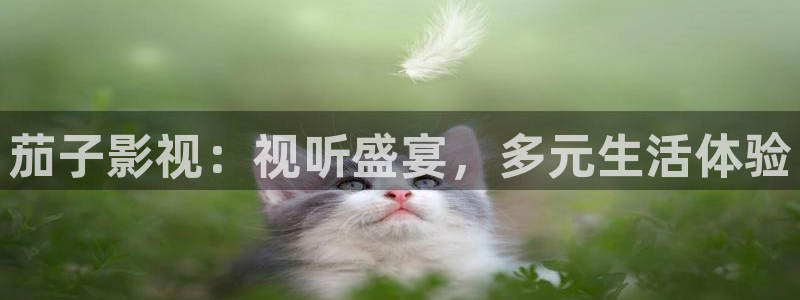 久久桃花综合影院