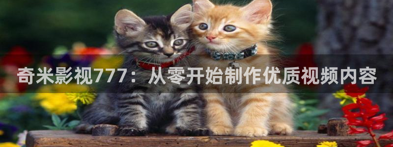 桃花岛影院在线观看